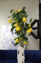 Artificial lemon branch