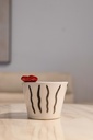 Cups006