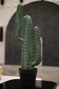 Artificial cactus