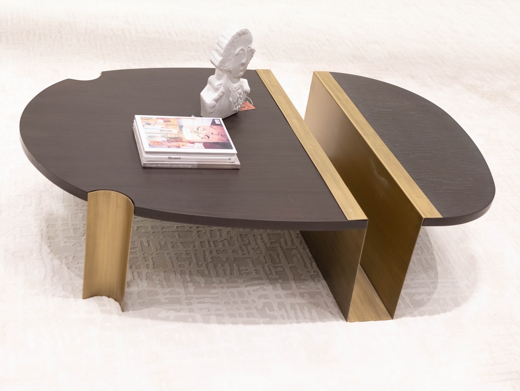 Black wood center table with steel