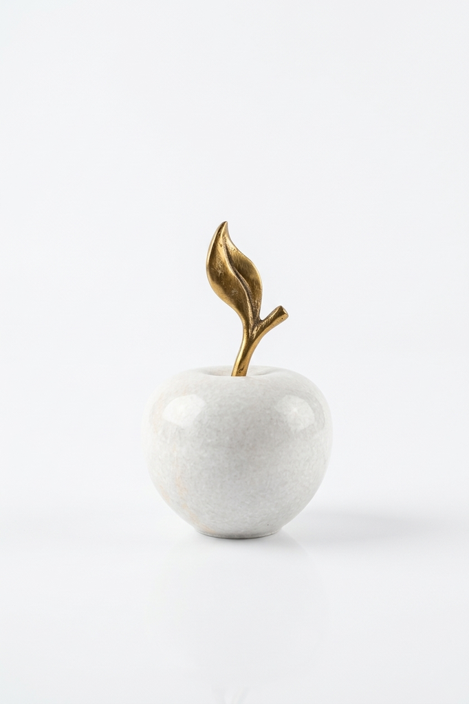 اكسسوار ١١١٧٠٥٣