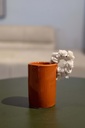 Cups053