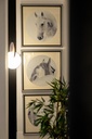 Horse paintings