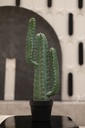 Artificial cactus